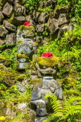 Lion dog statues above the pond