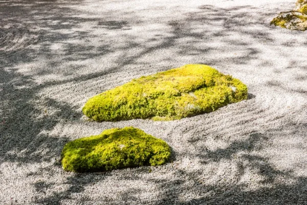 The peaceful Zen Garden