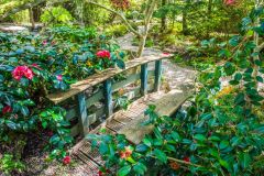 A footbridge and trail through the garden