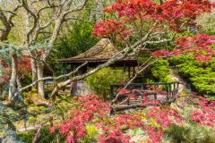 The teahouse glimpsed through colourful foliage