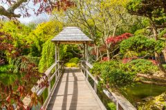 The bridge across the koi pond