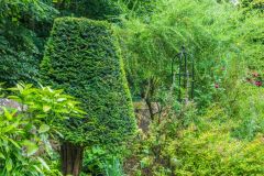 The Meeting House garden border