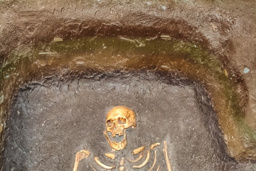 Viking bones