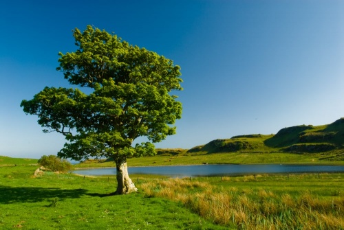 Kelspoke township site