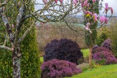 Looking across the valley below the garden