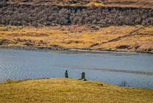 The standing stones from the roadside