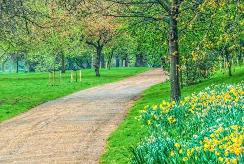 Kensington Gardens, London   History, Beautiful Photos & Visiting