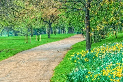 Kensington Gardens in spring
