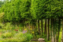 Trees line the long borders