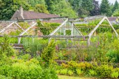 Old glasshouses in the garden