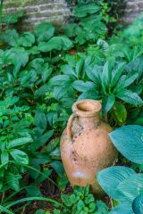 A terracotta vase adds a garden accent