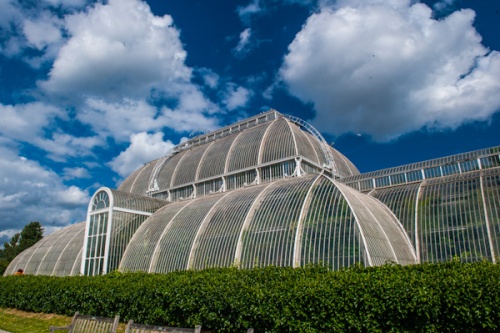 The Palm House at Kew Gardens