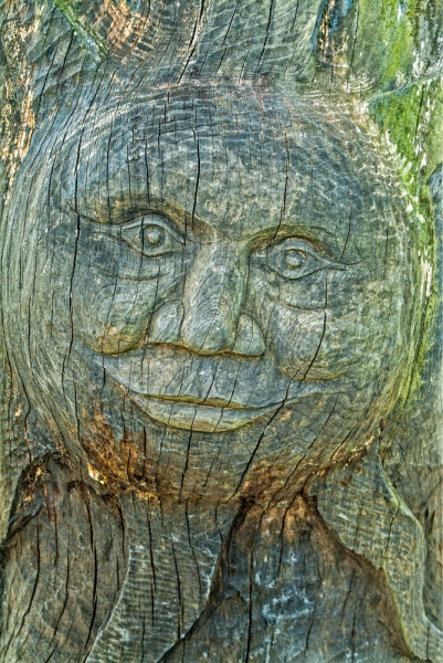 A modern sculpture made from a tree trunk
