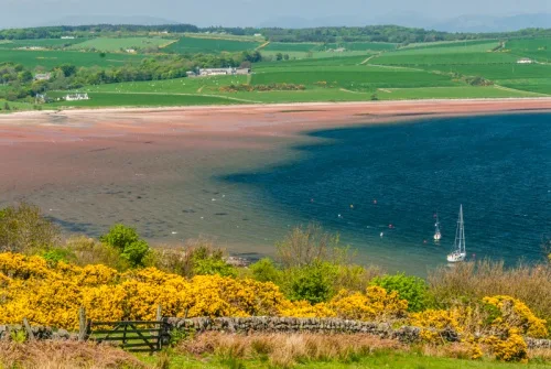 Kilchattan Bay from the West Island Way