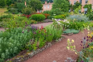 Colourful gardens near the house