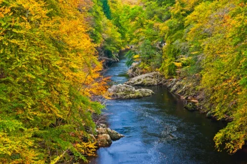 Killiecrankie Gorge in autumn