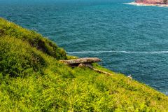The cromlech from above
