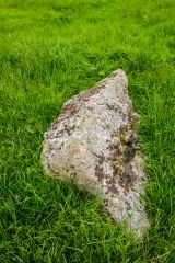 A fallen standing stone
