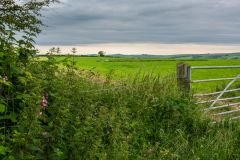 The stone circle seen from the field boundary