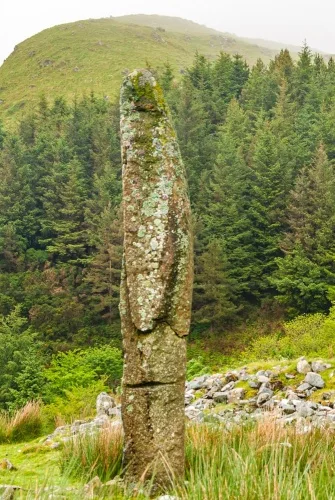 The stone, looking north-east