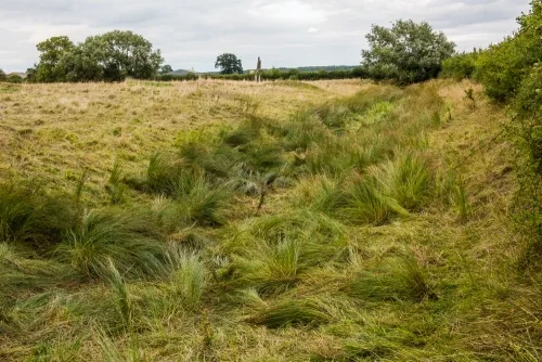 Remains of the monastic moat