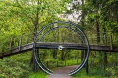 Galloway Forest Park, Mountain biking trail, Kirroughtree