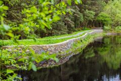 Galloway Forest Park, Bruntis Loch