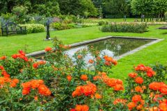 Knebworth House, A pond in the rose garden