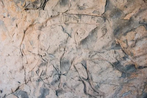 A closer look at the boar carving