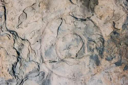 A traditional Pictish mirror-case symbol