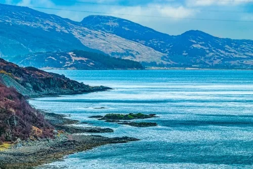 The view from the otter hide