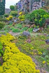 The rockery at Lamport Hall