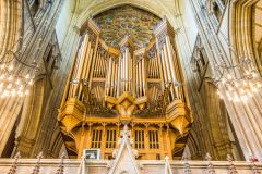 The organ and rose window