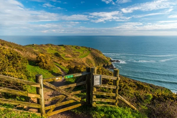 The National Trust path towards Pencarrow Head