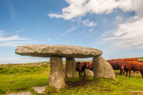 Looking inside the qouit