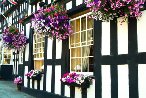 The Feathers Inn, Ledbury