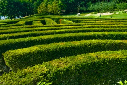 Leeds Castle maze