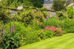 Herbaceous borders in the garden