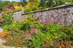 Leith Hall, Beautiful border in the walled garden