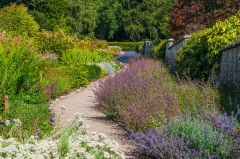 Leith Hall, Lush colours line a garden path