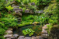 A quiet pool in the rock garden