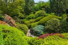 Another view of the rock garden