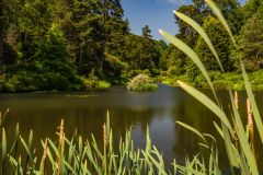 Leonardslee is laid out around seven lakes