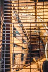 Looking straight down the shaft