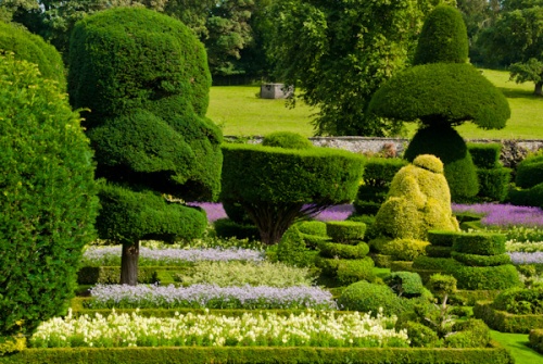 Levens Hall topiary garden