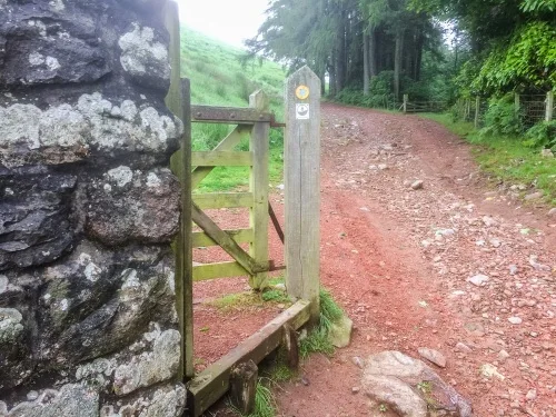 Go through a gate and follow the farm track