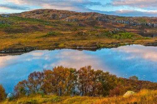Little Assynt, late evening