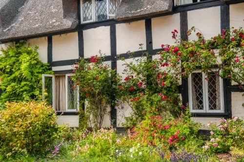 A pretty cottage garden