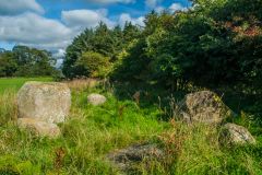 The stones are tucked in beside a hedge