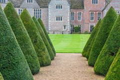 Conical topiary in the gardens of Littlecote House